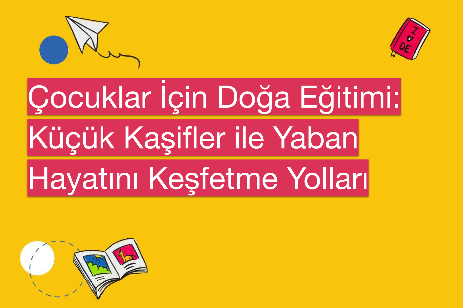 Çocuklar İçin Doğa Eğitimi: Küçük Kaşifler ile Yaban Hayatını Keşfetme Yolları