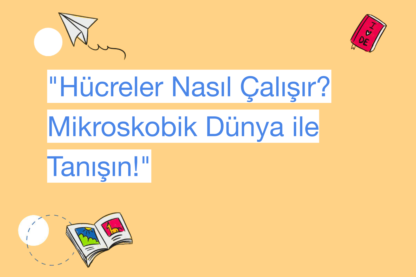 "Hücreler Nasıl Çalışır? Mikroskobik Dünya ile Tanışın!"
