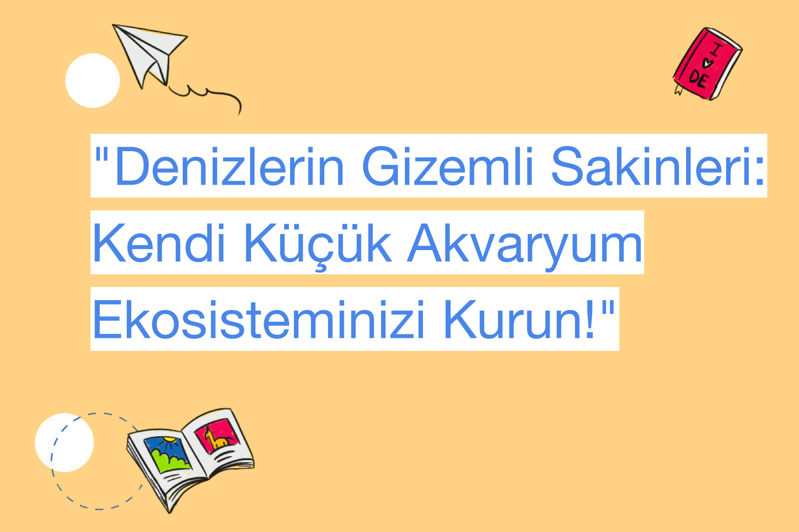 "Denizlerin Gizemli Sakinleri: Kendi Küçük Akvaryum Ekosisteminizi Kurun!"