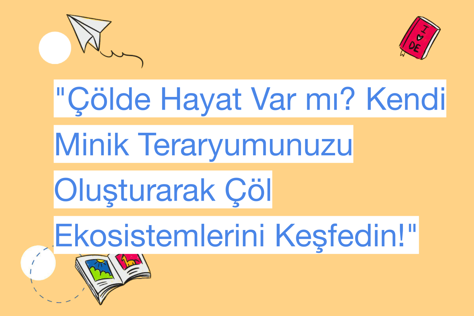 "Çölde Hayat Var mı? Kendi Minik Teraryumunuzu Oluşturarak Çöl Ekosistemlerini Keşfedin!"