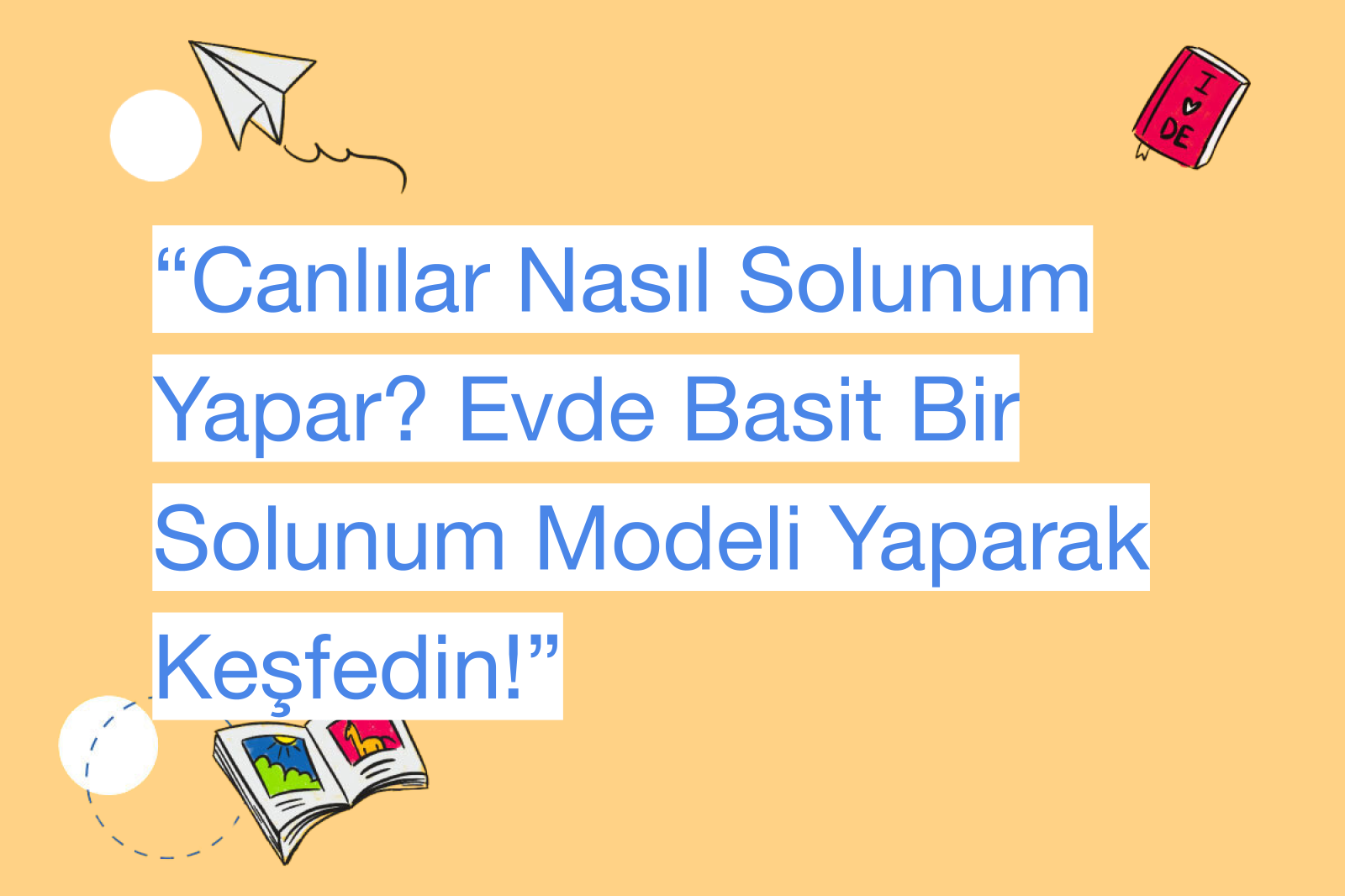 “Canlılar Nasıl Solunum Yapar? Evde Basit Bir Solunum Modeli Yaparak Keşfedin!”