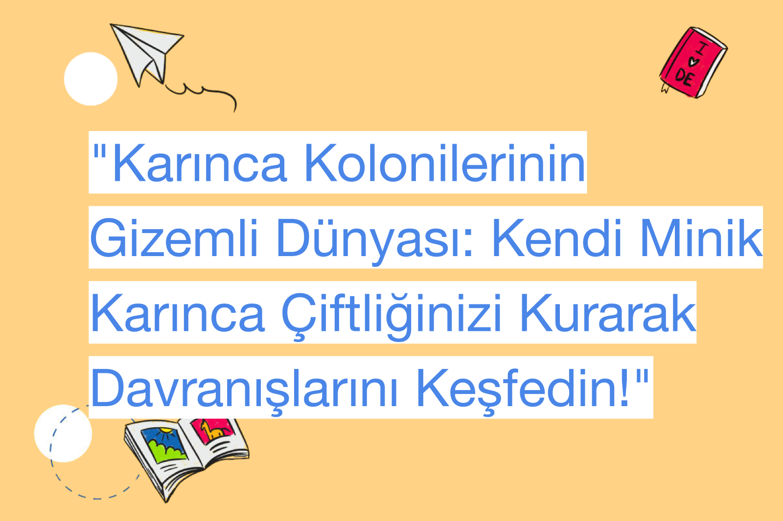"Karınca Kolonilerinin Gizemli Dünyası: Kendi Minik Karınca Çiftliğinizi Kurarak Davranışlarını Keşfedin!"