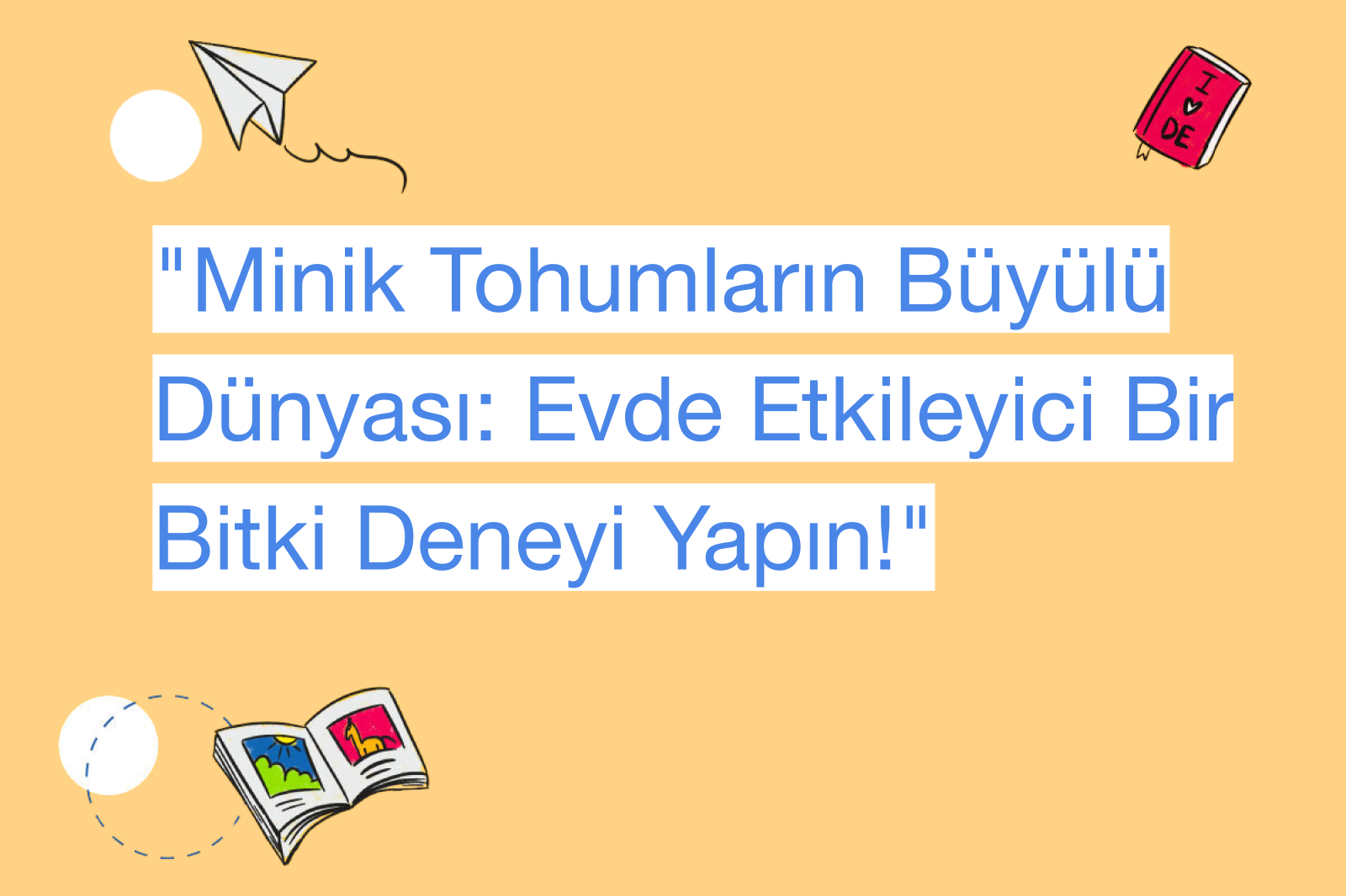 "Minik Tohumların Büyülü Dünyası: Evde Etkileyici Bir Bitki Deneyi Yapın!"