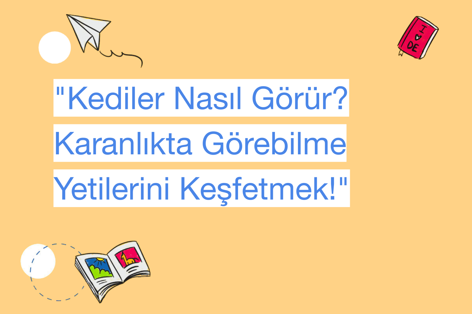 "Kediler Nasıl Görür? Karanlıkta Görebilme Yetilerini Keşfetmek!"