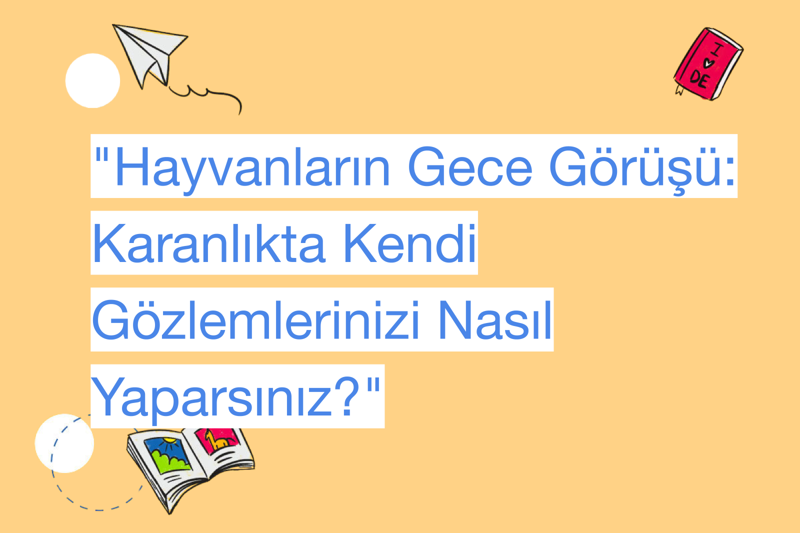"Hayvanların Gece Görüşü: Karanlıkta Kendi Gözlemlerinizi Nasıl Yaparsınız?"