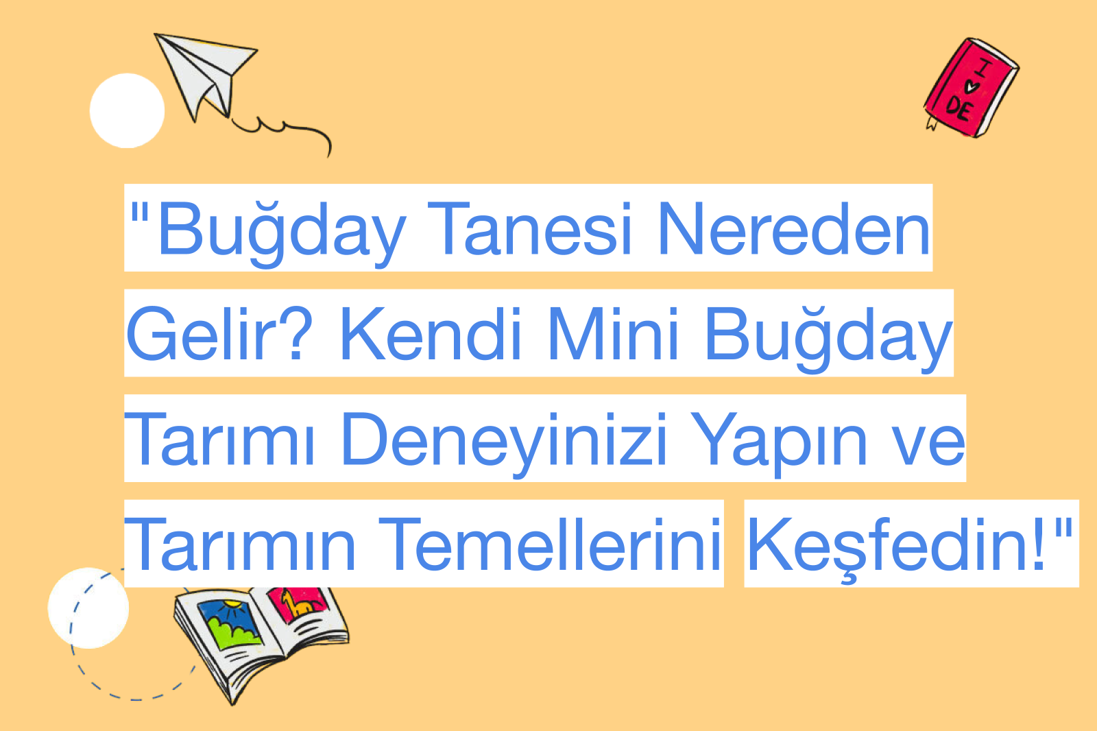 "Buğday Tanesi Nereden Gelir? Kendi Mini Buğday Tarımı Deneyinizi Yapın ve Tarımın Temellerini Keşfedin!"