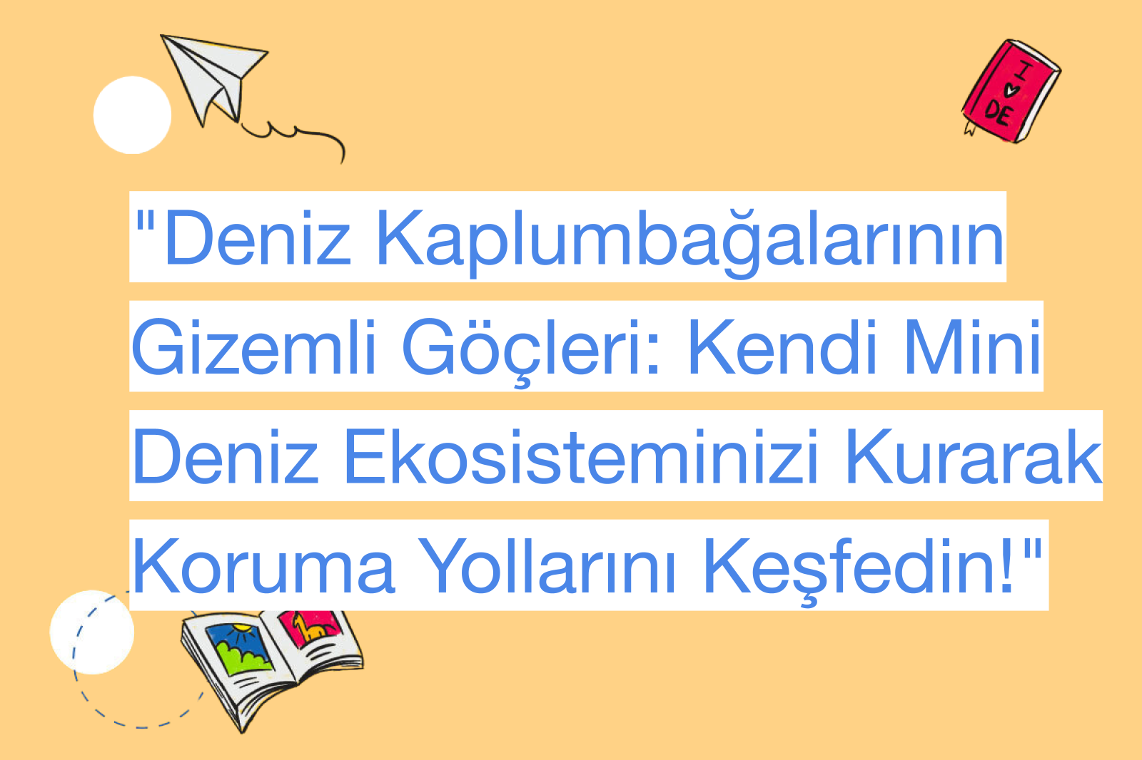 "Deniz Kaplumbağalarının Gizemli Göçleri: Kendi Mini Deniz Ekosisteminizi Kurarak Koruma Yollarını Keşfedin!"