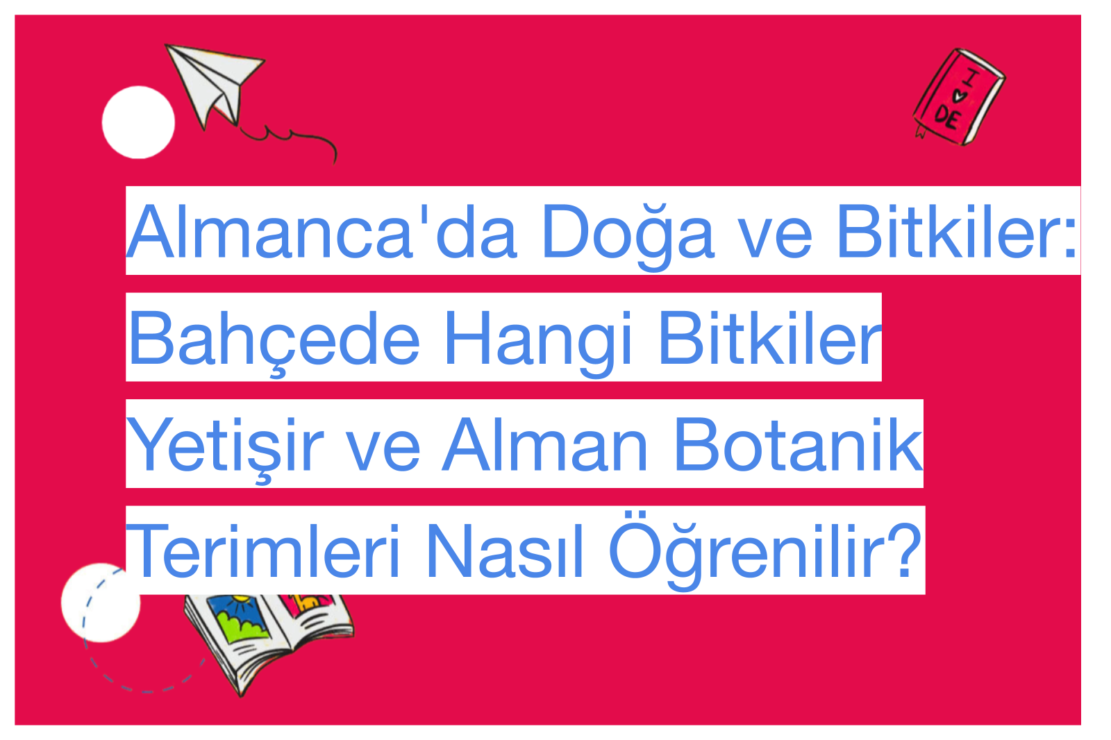 Almanca'da Doğa ve Bitkiler: Bahçede Hangi Bitkiler Yetişir ve Alman Botanik Terimleri Nasıl Öğrenilir?