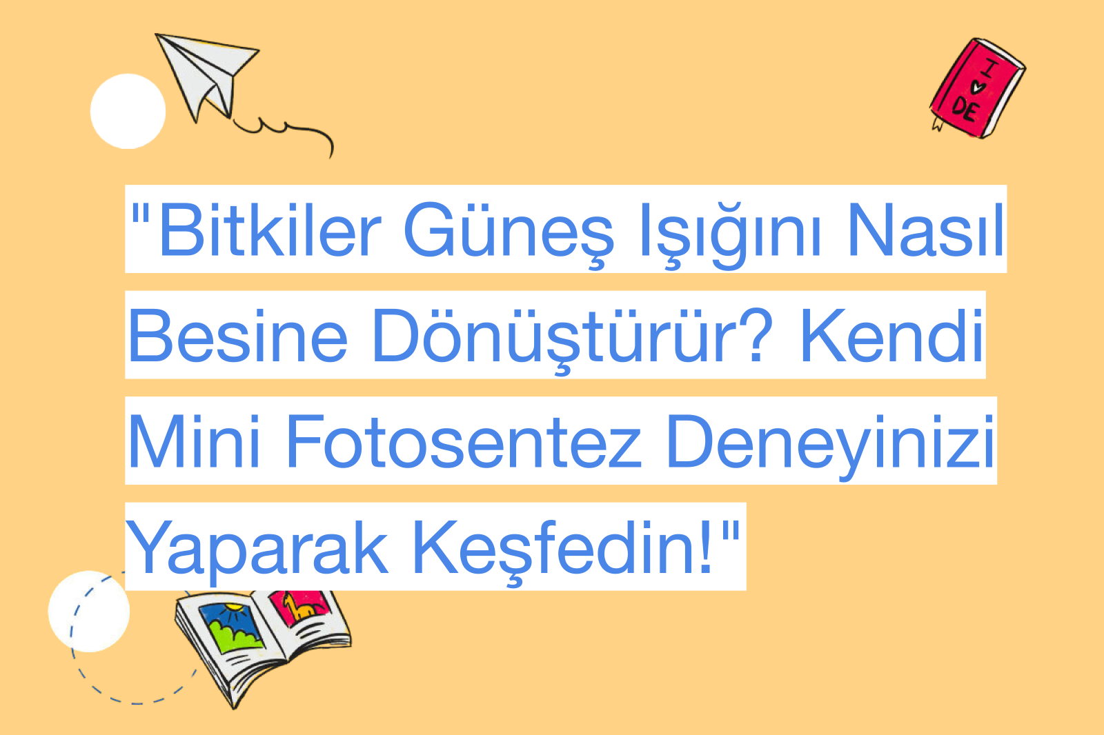 "Bitkiler Güneş Işığını Nasıl Besine Dönüştürür? Kendi Mini Fotosentez Deneyinizi Yaparak Keşfedin!"