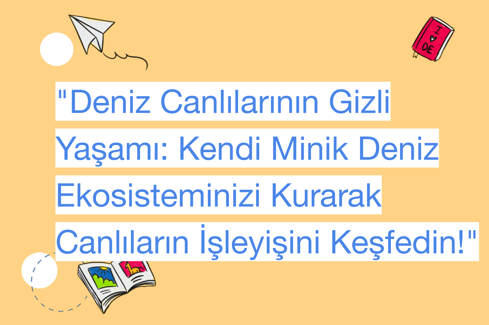 "Deniz Canlılarının Gizli Yaşamı: Kendi Minik Deniz Ekosisteminizi Kurarak Canlıların İşleyişini Keşfedin!"