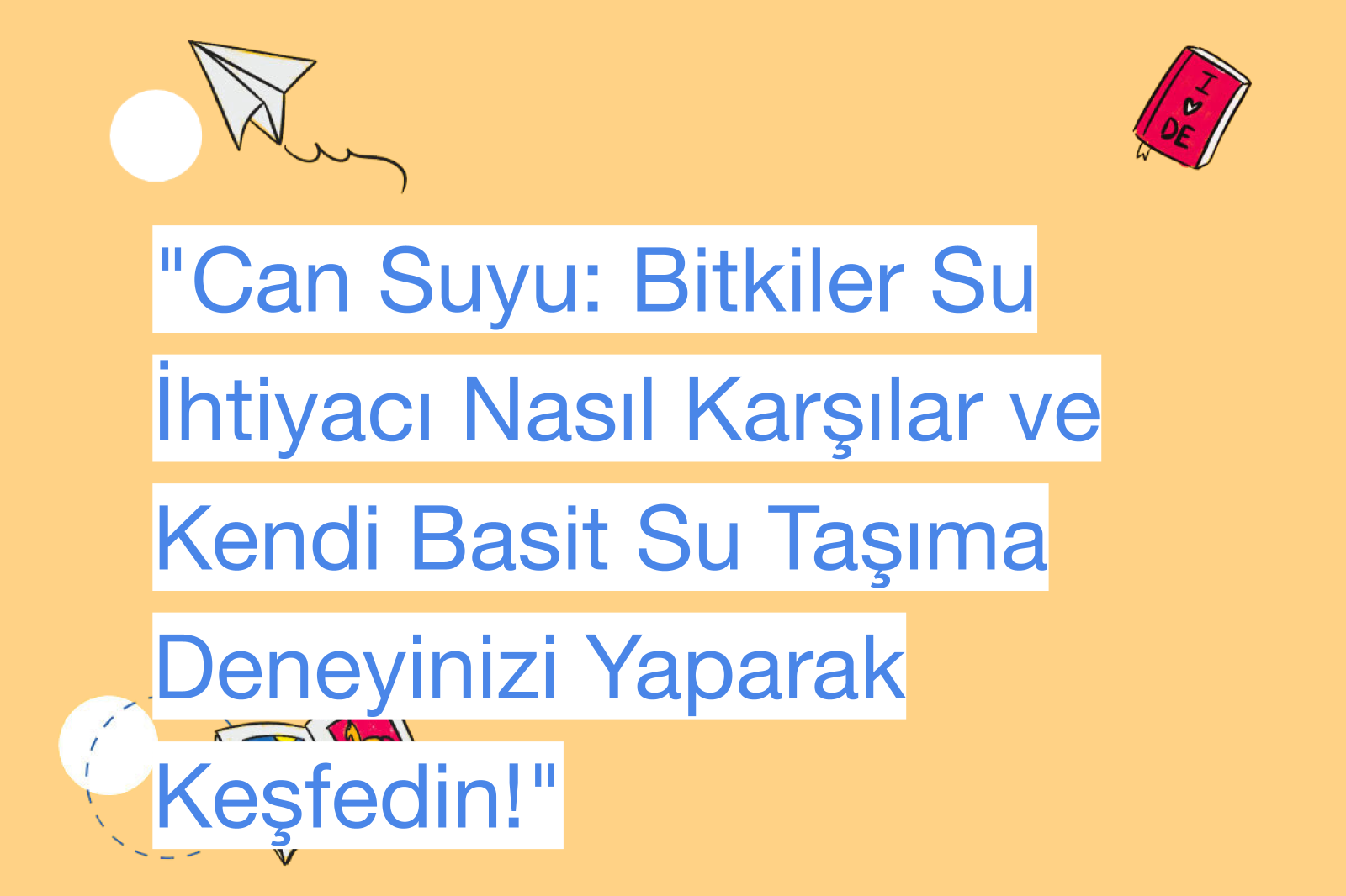 "Can Suyu: Bitkiler Su İhtiyacı Nasıl Karşılar ve Kendi Basit Su Taşıma Deneyinizi Yaparak Keşfedin!"