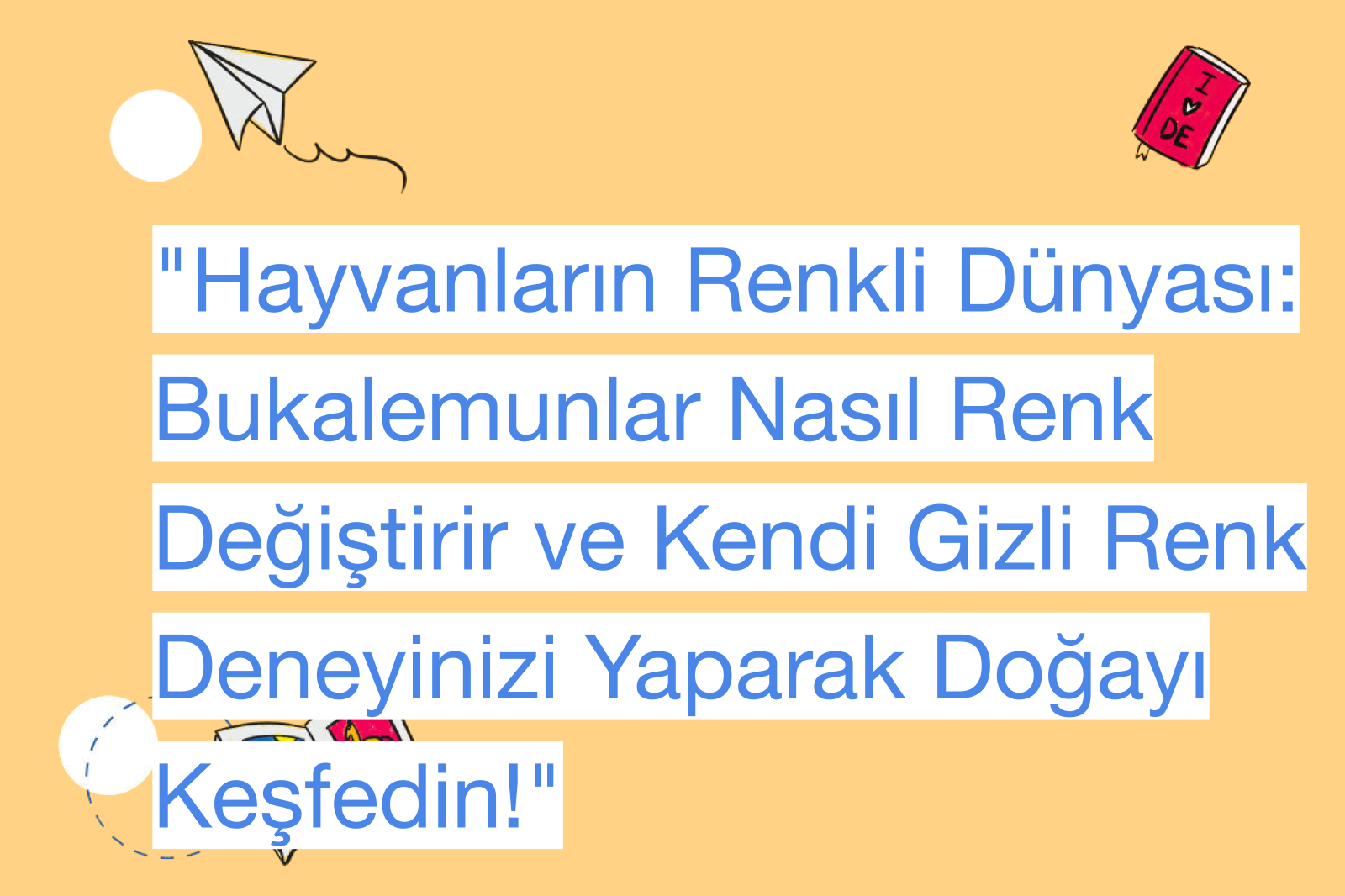 "Hayvanların Renkli Dünyası: Bukalemunlar Nasıl Renk Değiştirir ve Kendi Gizli Renk Deneyinizi Yaparak Doğayı Keşfedin!"
