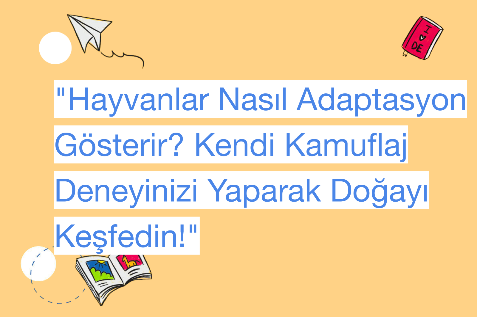 "Hayvanlar Nasıl Adaptasyon Gösterir? Kendi Kamuflaj Deneyinizi Yaparak Doğayı Keşfedin!"