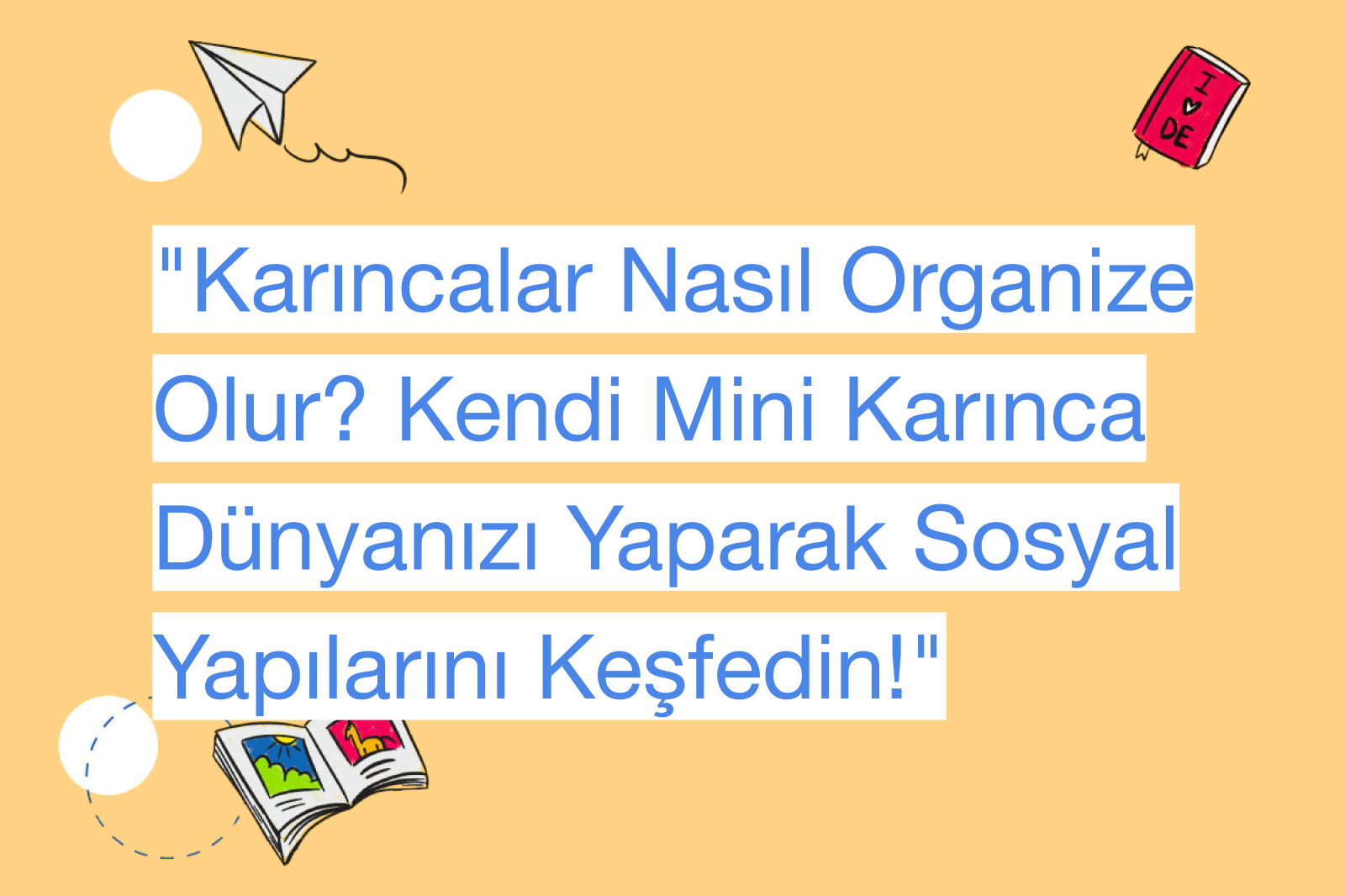 "Karıncalar Nasıl Organize Olur? Kendi Mini Karınca Dünyanızı Yaparak Sosyal Yapılarını Keşfedin!"