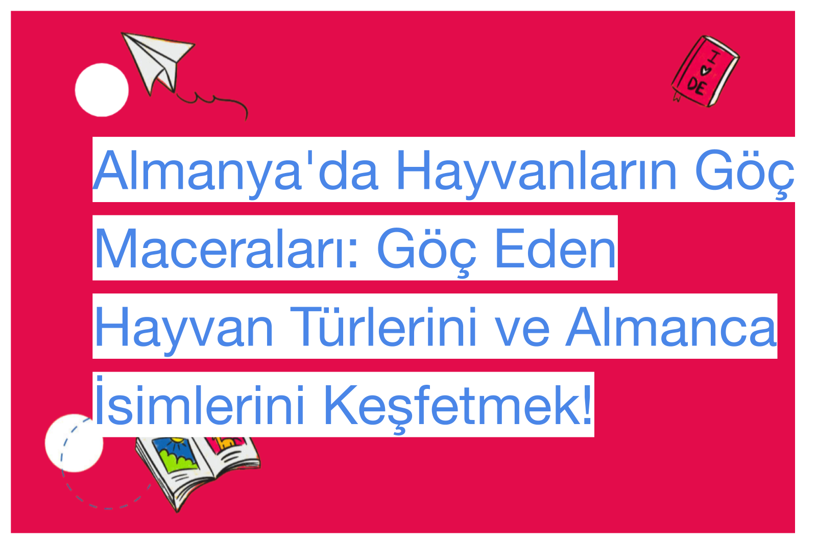 Almanya'da Hayvanların Göç Maceraları: Göç Eden Hayvan Türlerini ve Almanca İsimlerini Keşfetmek!