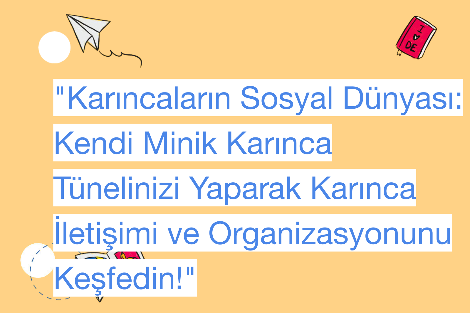 "Karıncaların Sosyal Dünyası: Kendi Minik Karınca Tünelinizi Yaparak Karınca İletişimi ve Organizasyonunu Keşfedin!"