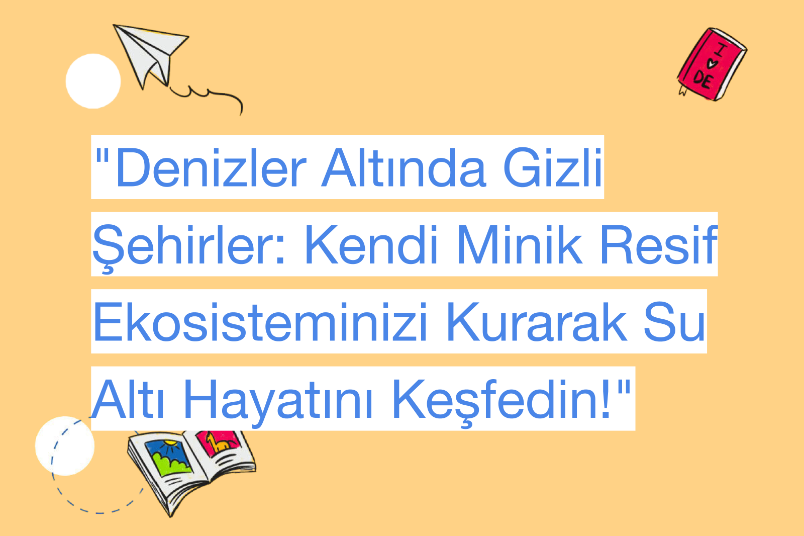 "Denizler Altında Gizli Şehirler: Kendi Minik Resif Ekosisteminizi Kurarak Su Altı Hayatını Keşfedin!"