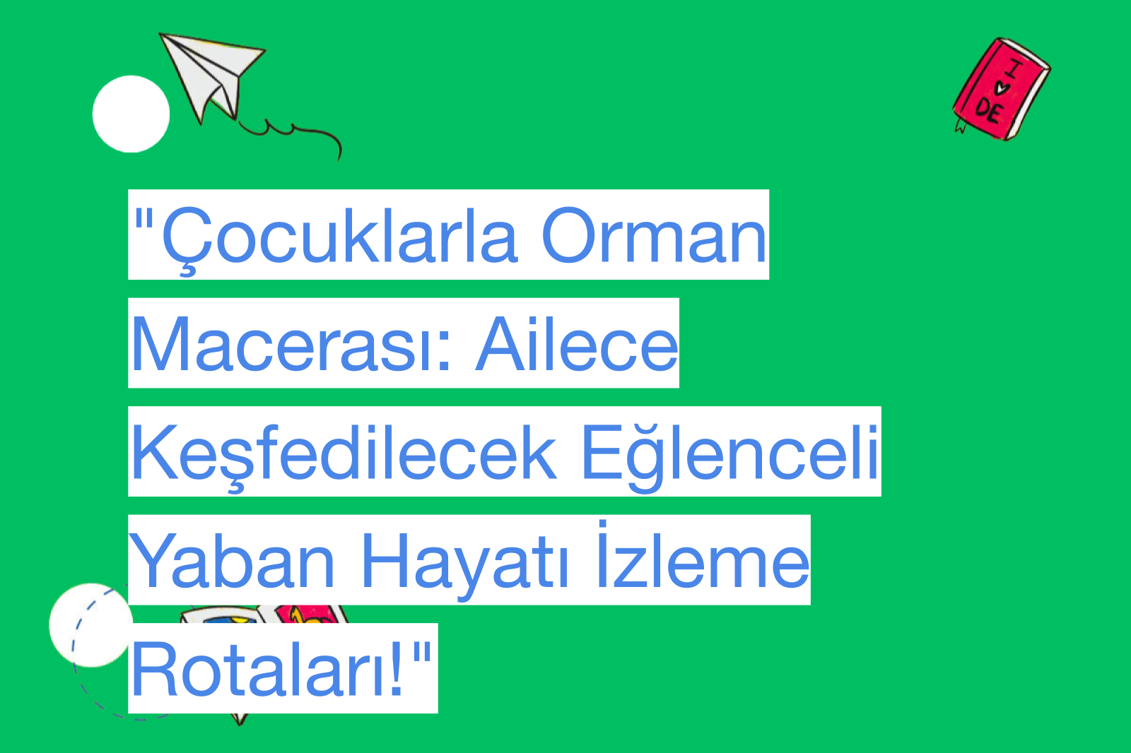 "Çocuklarla Orman Macerası: Ailece Keşfedilecek Eğlenceli Yaban Hayatı İzleme Rotaları!"