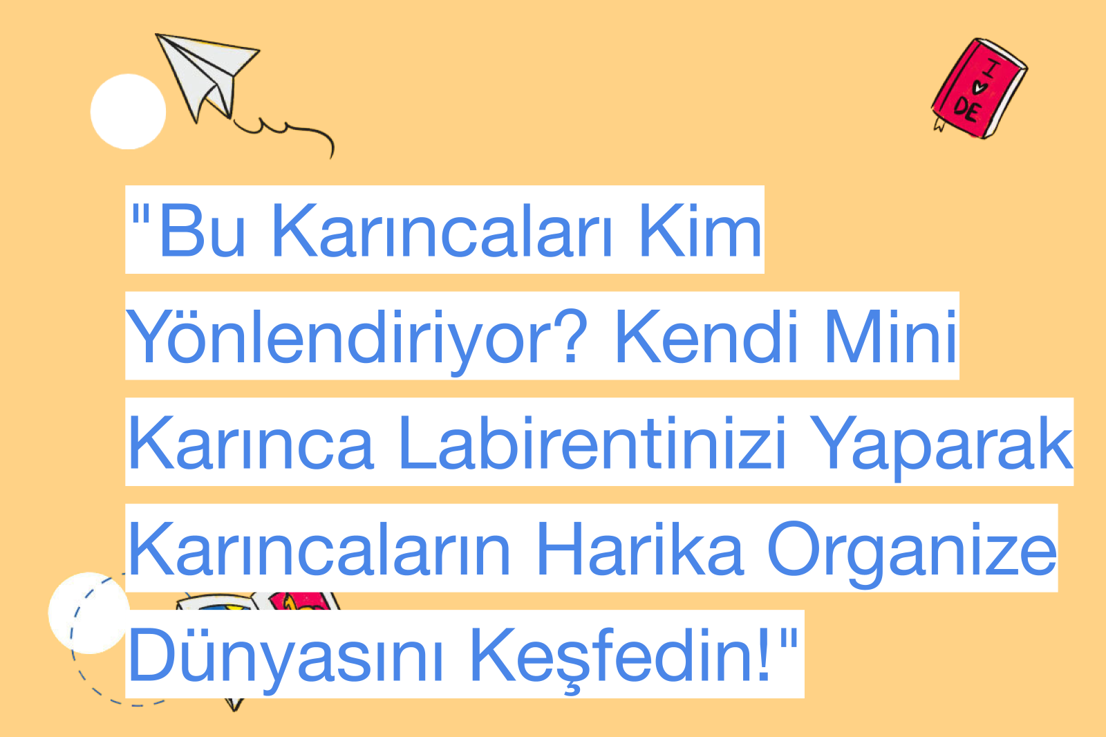 "Bu Karıncaları Kim Yönlendiriyor? Kendi Mini Karınca Labirentinizi Yaparak Karıncaların Harika Organize Dünyasını Keşfedin!"