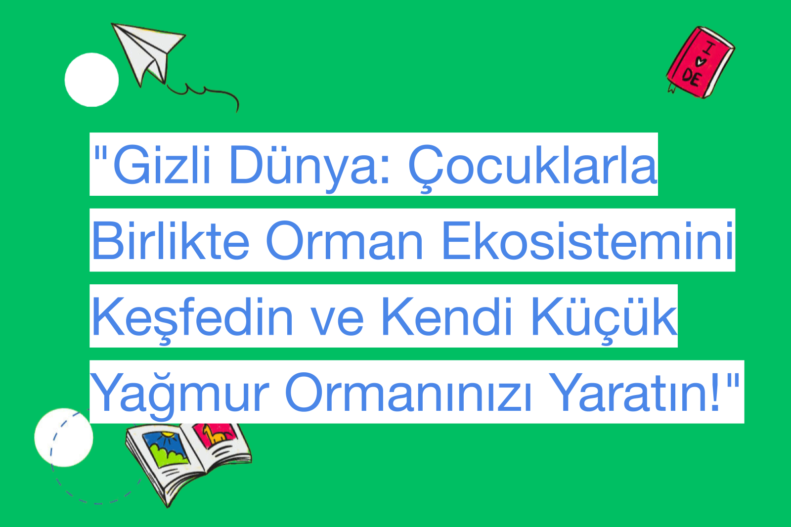 "Gizli Dünya: Çocuklarla Birlikte Orman Ekosistemini Keşfedin ve Kendi Küçük Yağmur Ormanınızı Yaratın!"
