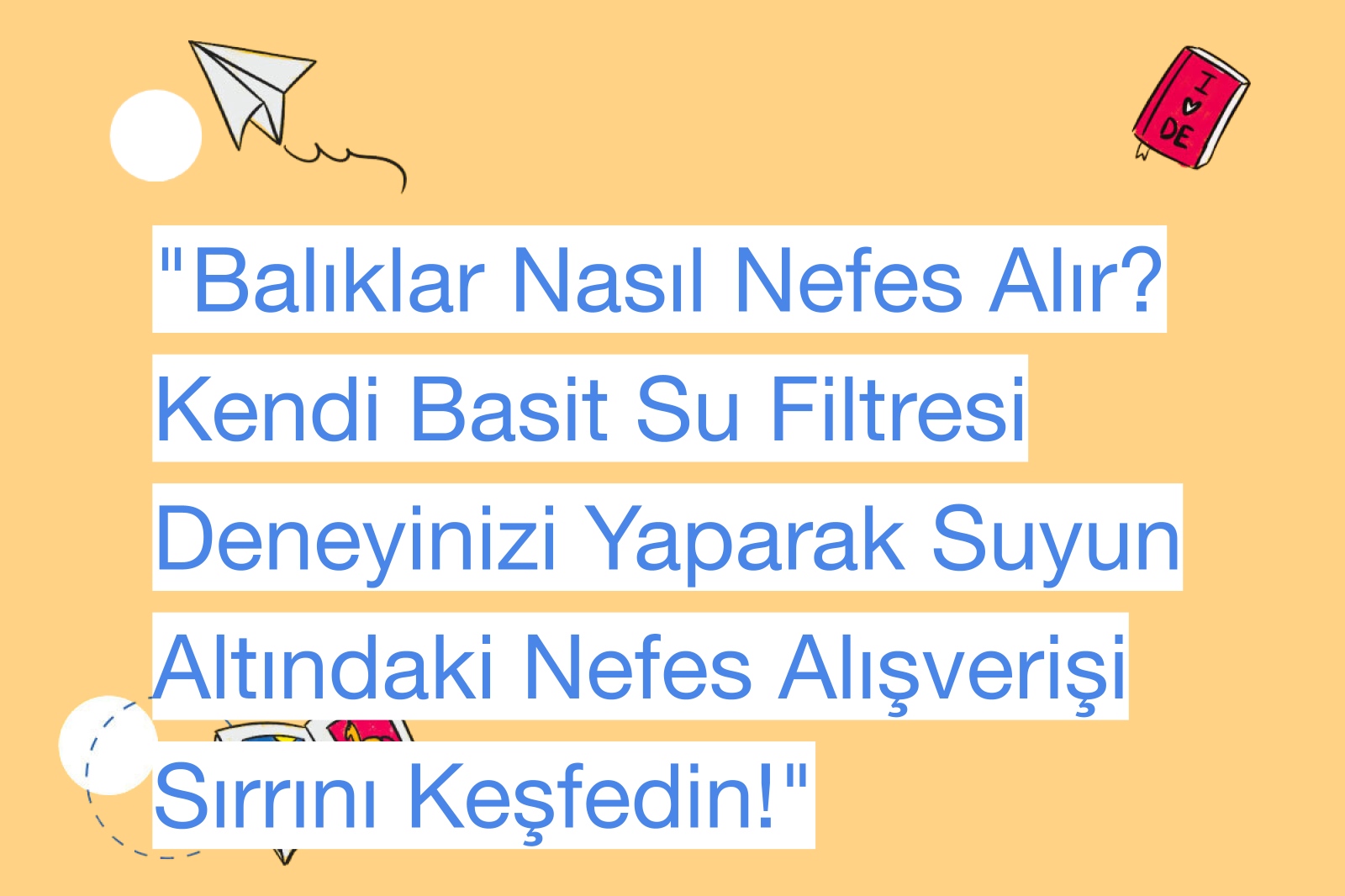 "Balıklar Nasıl Nefes Alır? Kendi Basit Su Filtresi Deneyinizi Yaparak Suyun Altındaki Nefes Alışverişi Sırrını Keşfedin!"
