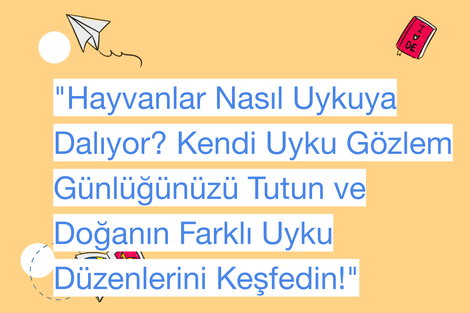 "Hayvanlar Nasıl Uykuya Dalıyor? Kendi Uyku Gözlem Günlüğünüzü Tutun ve Doğanın Farklı Uyku Düzenlerini Keşfedin!"