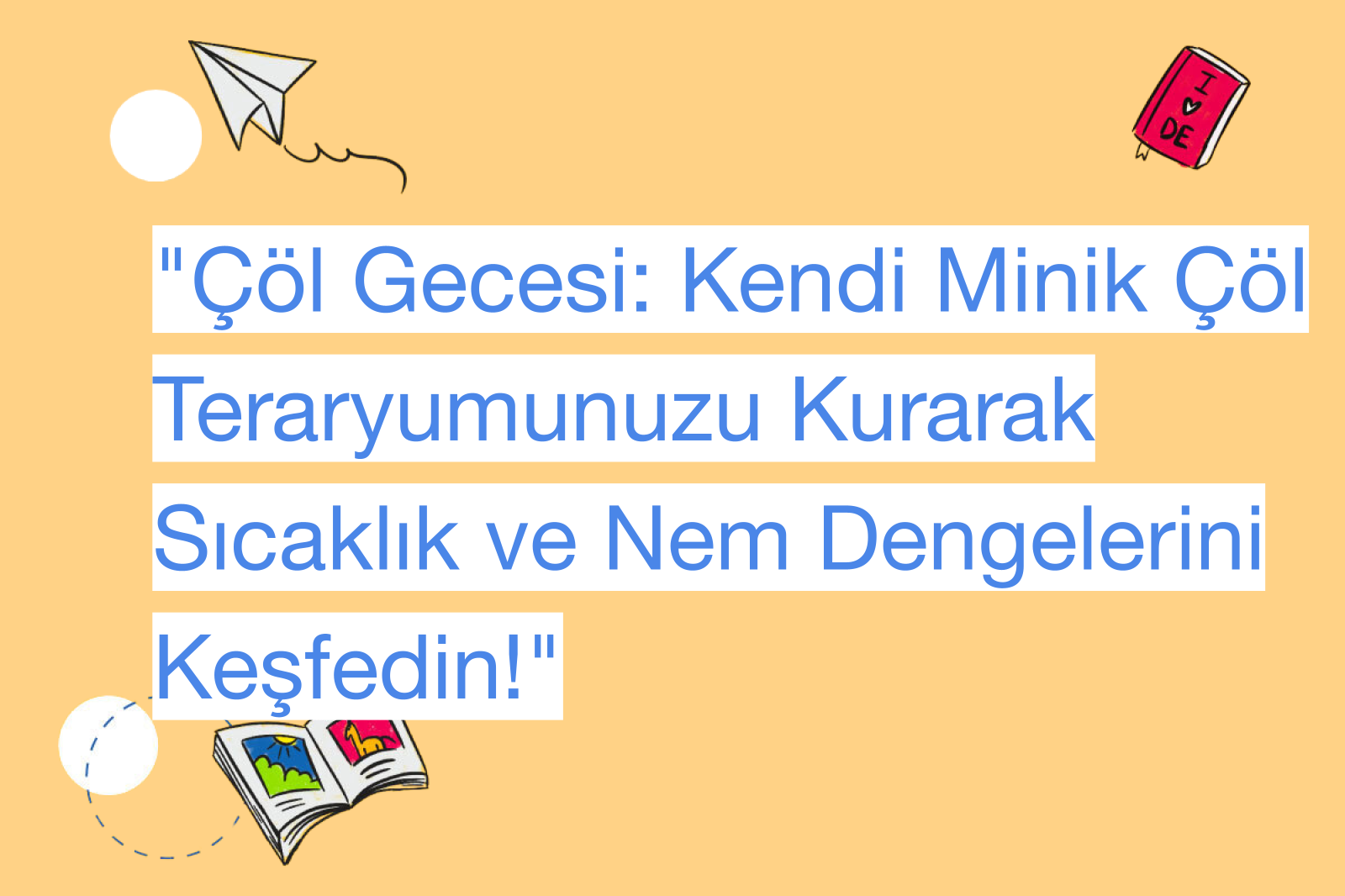 "Çöl Gecesi: Kendi Minik Çöl Teraryumunuzu Kurarak Sıcaklık ve Nem Dengelerini Keşfedin!"