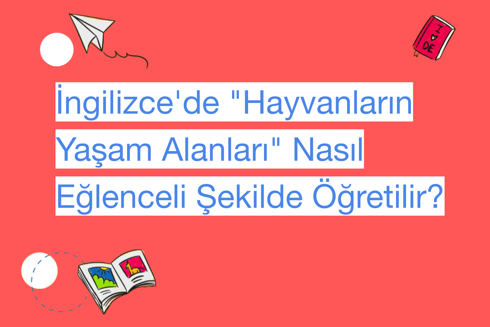 İngilizce'de "Hayvanların Yaşam Alanları" Nasıl Eğlenceli Şekilde Öğretilir?