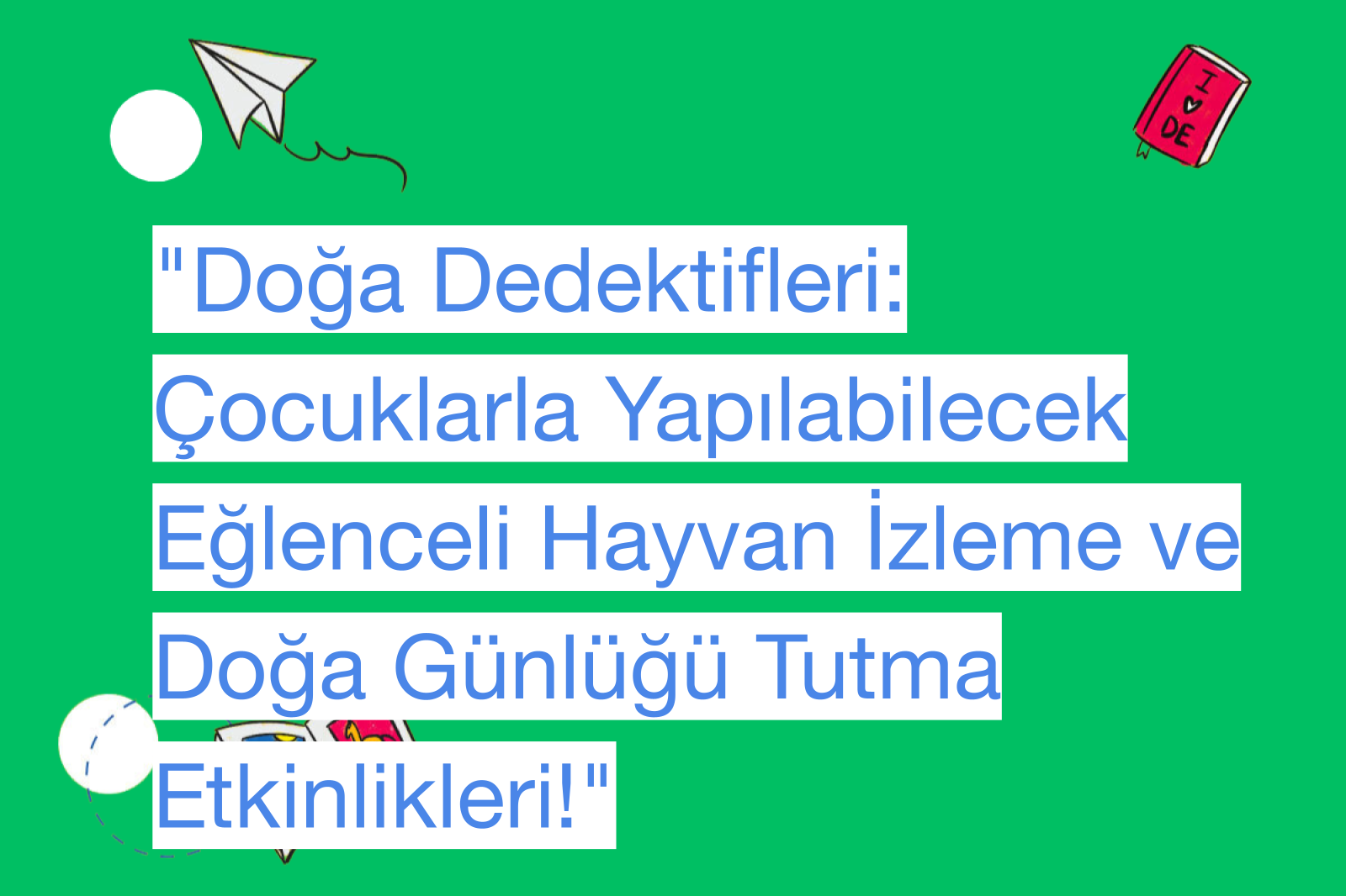 "Doğa Dedektifleri: Çocuklarla Yapılabilecek Eğlenceli Hayvan İzleme ve Doğa Günlüğü Tutma Etkinlikleri!"