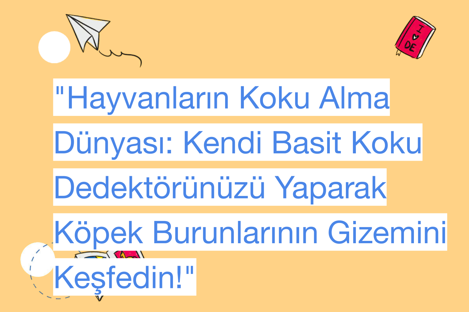 "Hayvanların Koku Alma Dünyası: Kendi Basit Koku Dedektörünüzü Yaparak Köpek Burunlarının Gizemini Keşfedin!"