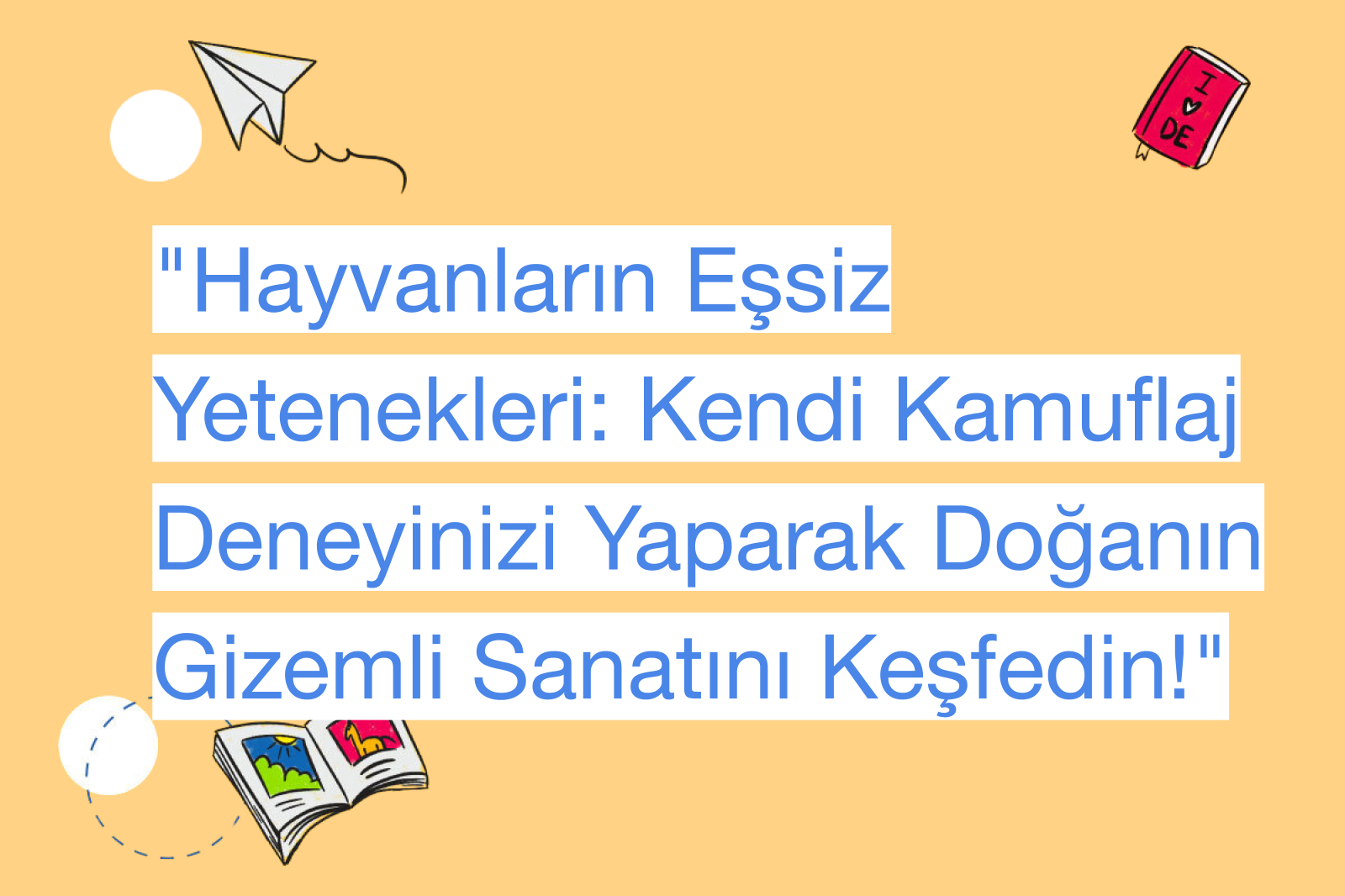 "Hayvanların Eşsiz Yetenekleri: Kendi Kamuflaj Deneyinizi Yaparak Doğanın Gizemli Sanatını Keşfedin!"
