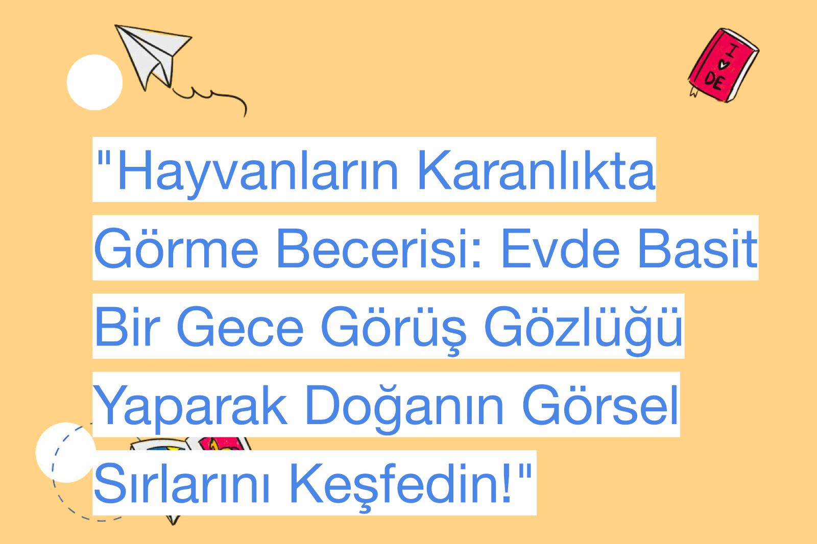 "Hayvanların Karanlıkta Görme Becerisi: Evde Basit Bir Gece Görüş Gözlüğü Yaparak Doğanın Görsel Sırlarını Keşfedin!"