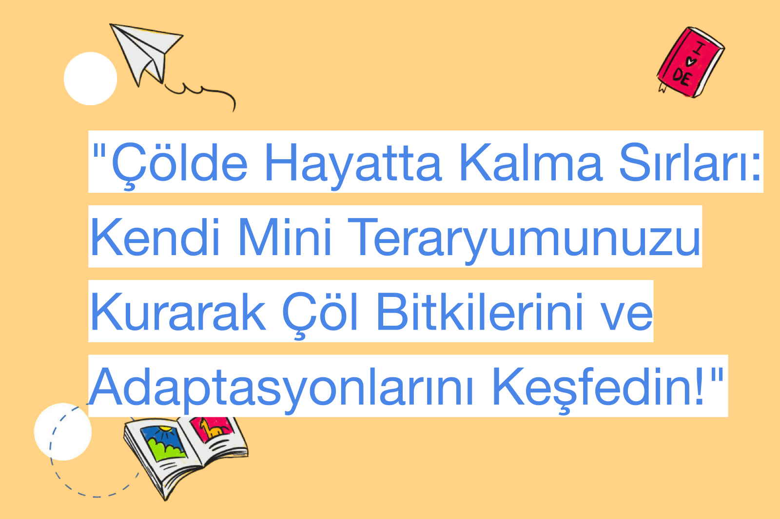 "Çölde Hayatta Kalma Sırları: Kendi Mini Teraryumunuzu Kurarak Çöl Bitkilerini ve Adaptasyonlarını Keşfedin!"