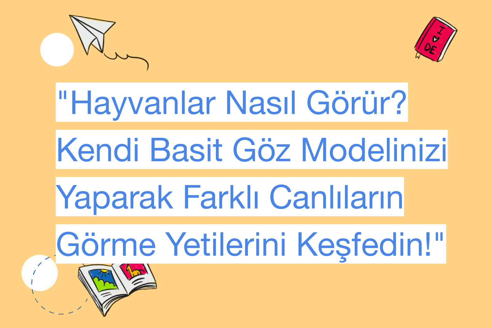 "Hayvanlar Nasıl Görür? Kendi Basit Göz Modelinizi Yaparak Farklı Canlıların Görme Yetilerini Keşfedin!"