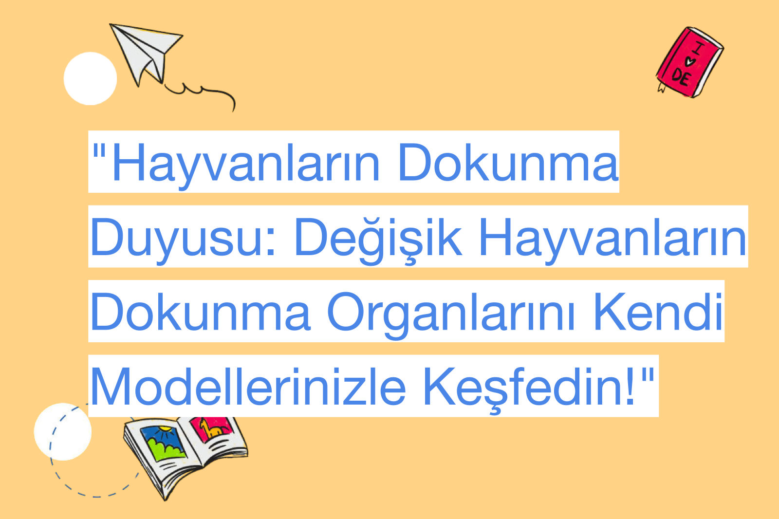 "Hayvanların Dokunma Duyusu: Değişik Hayvanların Dokunma Organlarını Kendi Modellerinizle Keşfedin!"