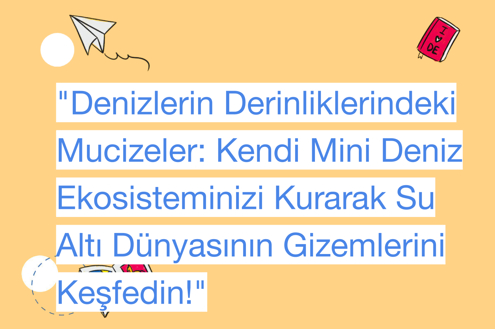 "Denizlerin Derinliklerindeki Mucizeler: Kendi Mini Deniz Ekosisteminizi Kurarak Su Altı Dünyasının Gizemlerini Keşfedin!"
