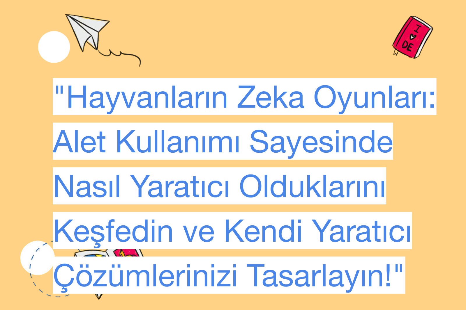 "Hayvanların Zeka Oyunları: Alet Kullanımı Sayesinde Nasıl Yaratıcı Olduklarını Keşfedin ve Kendi Yaratıcı Çözümlerinizi Tasarlayın!"