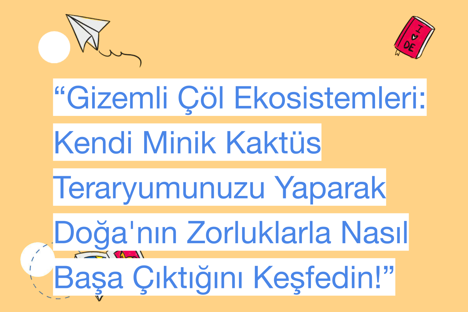 “Gizemli Çöl Ekosistemleri: Kendi Minik Kaktüs Teraryumunuzu Yaparak Doğa'nın Zorluklarla Nasıl Başa Çıktığını Keşfedin!”