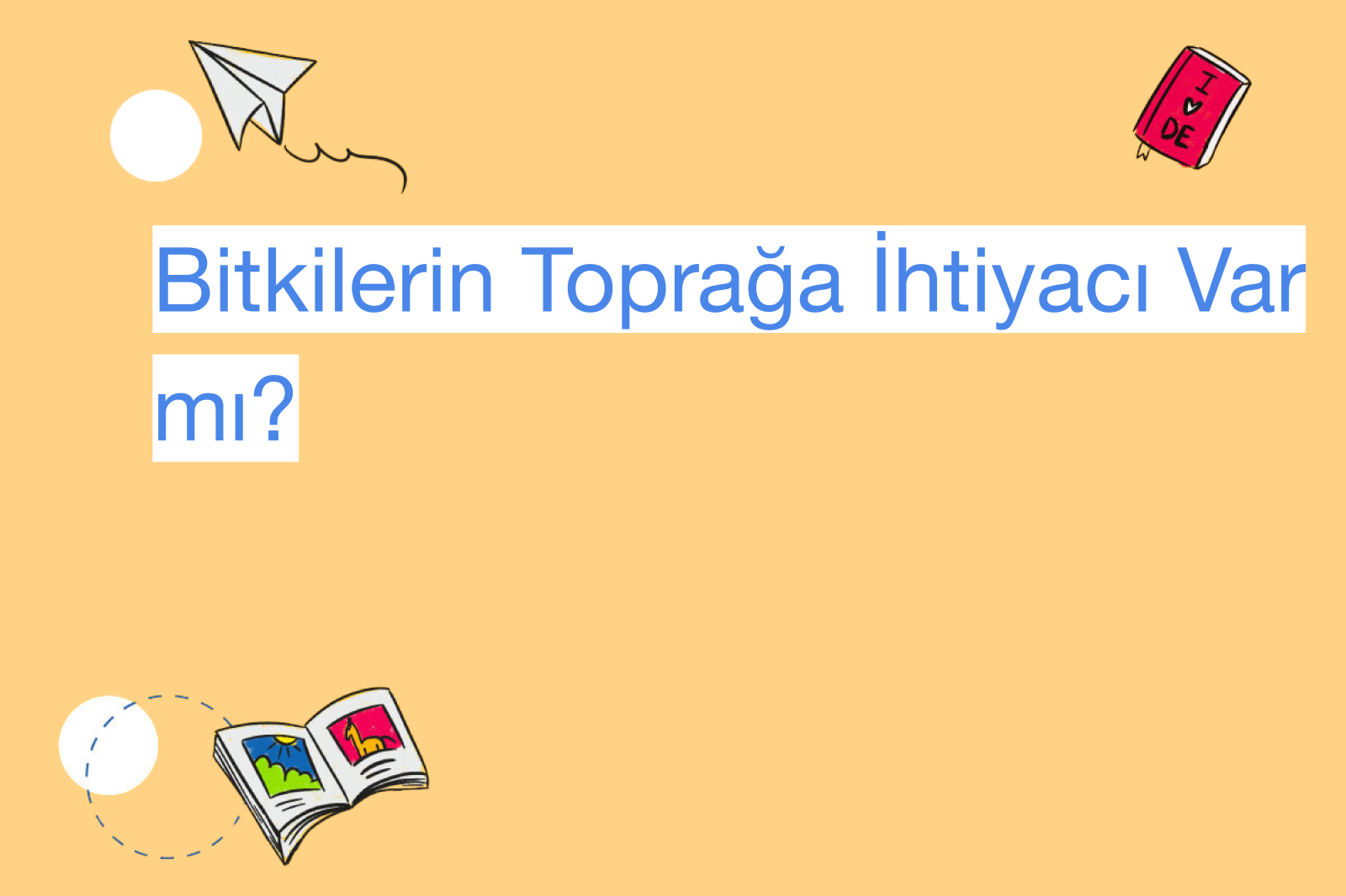 Bitkilerin Toprağa İhtiyacı Var mı?