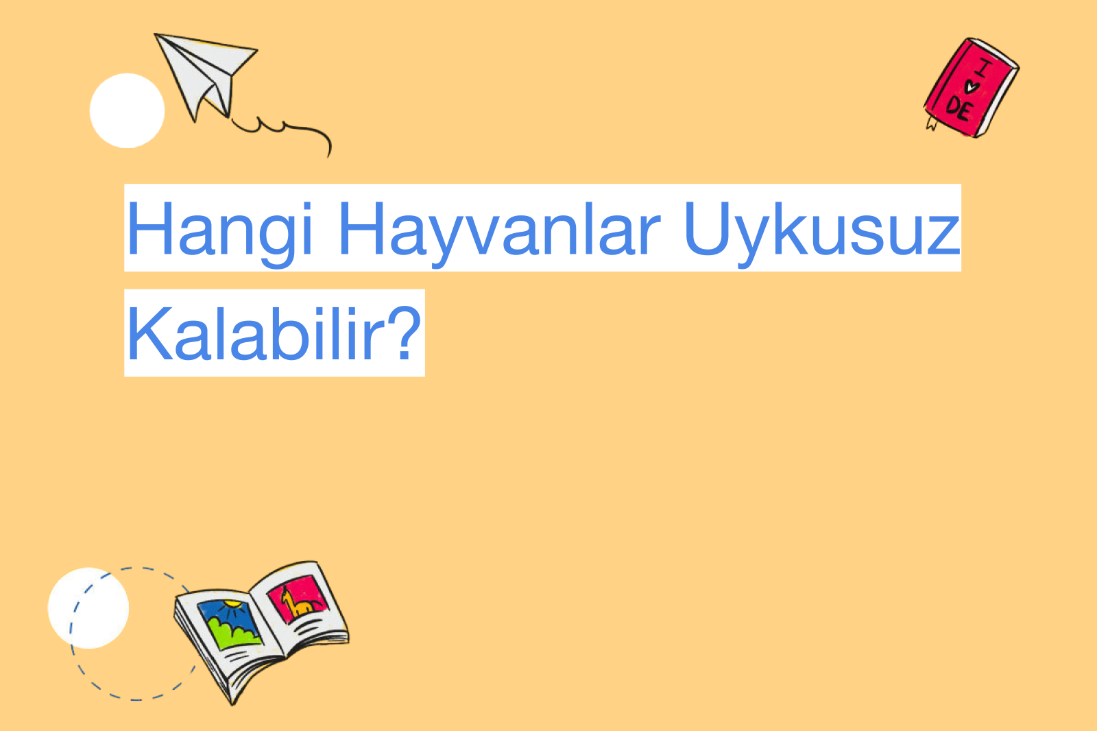 Hangi Hayvanlar Uykusuz Kalabilir?