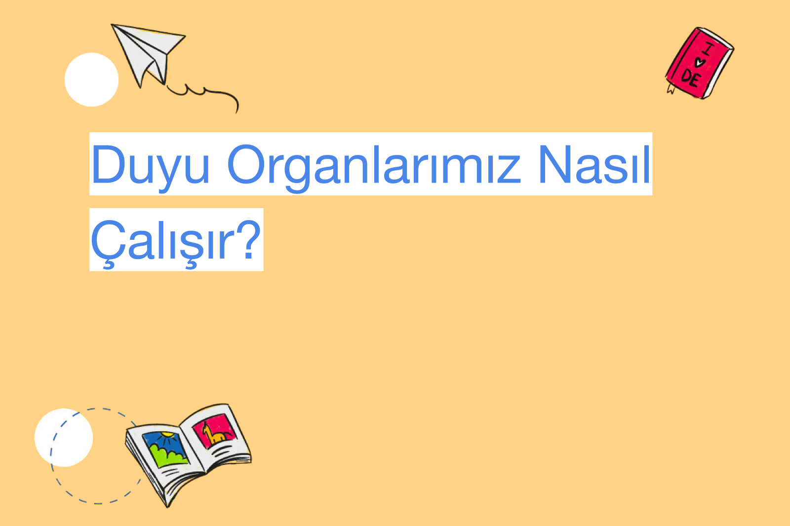 Duyu Organlarımız Nasıl Çalışır?