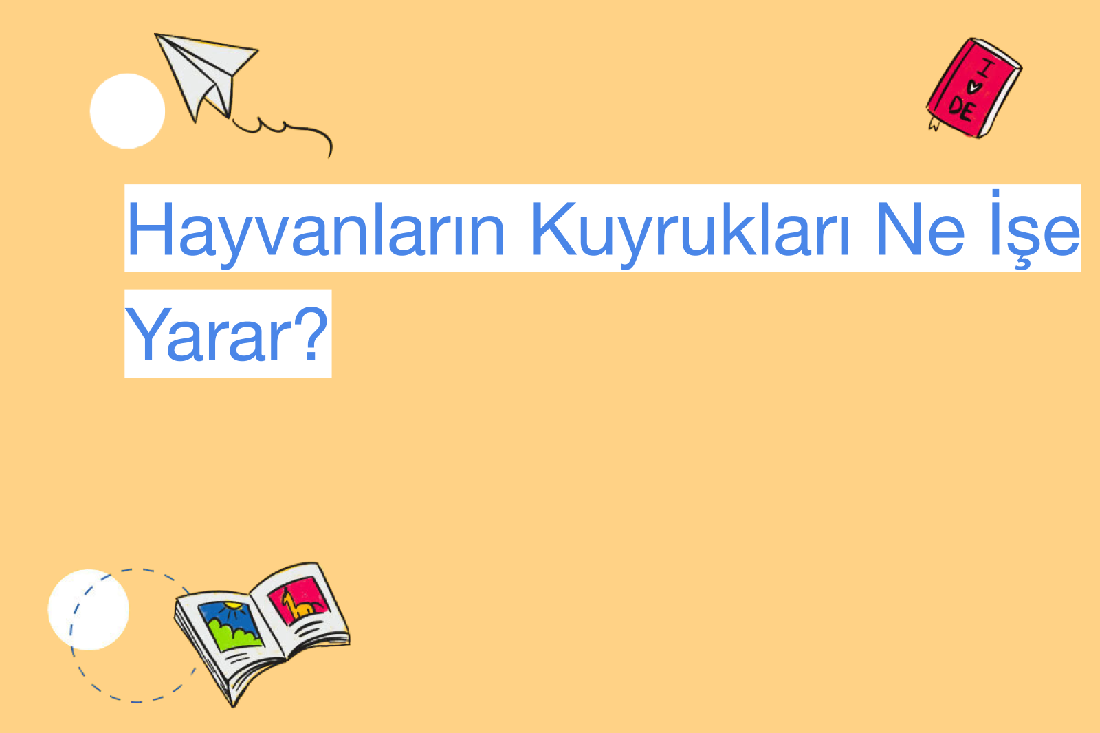 Hayvanların Kuyrukları Ne İşe Yarar?