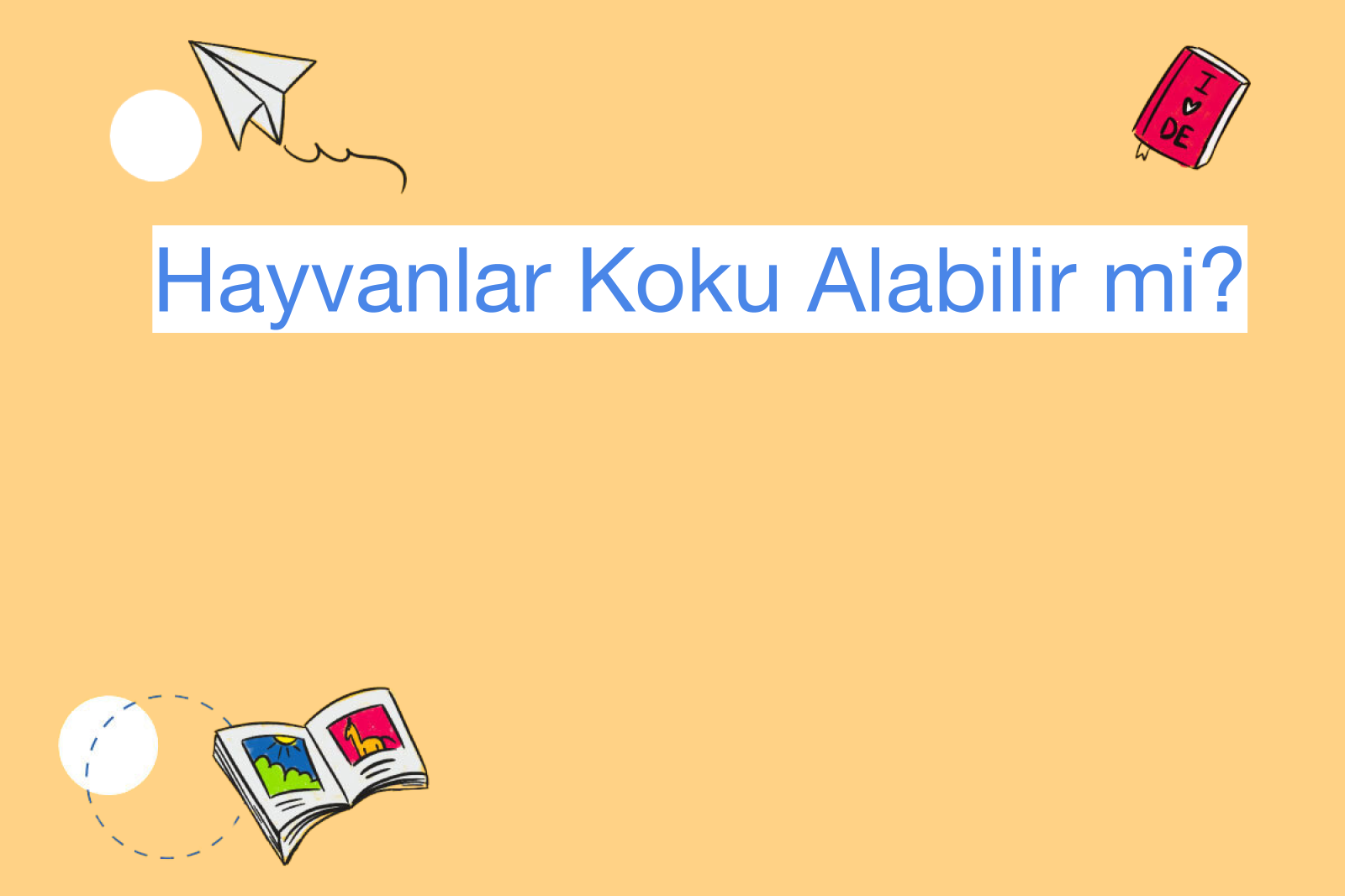 Hayvanlar Koku Alabilir mi?
