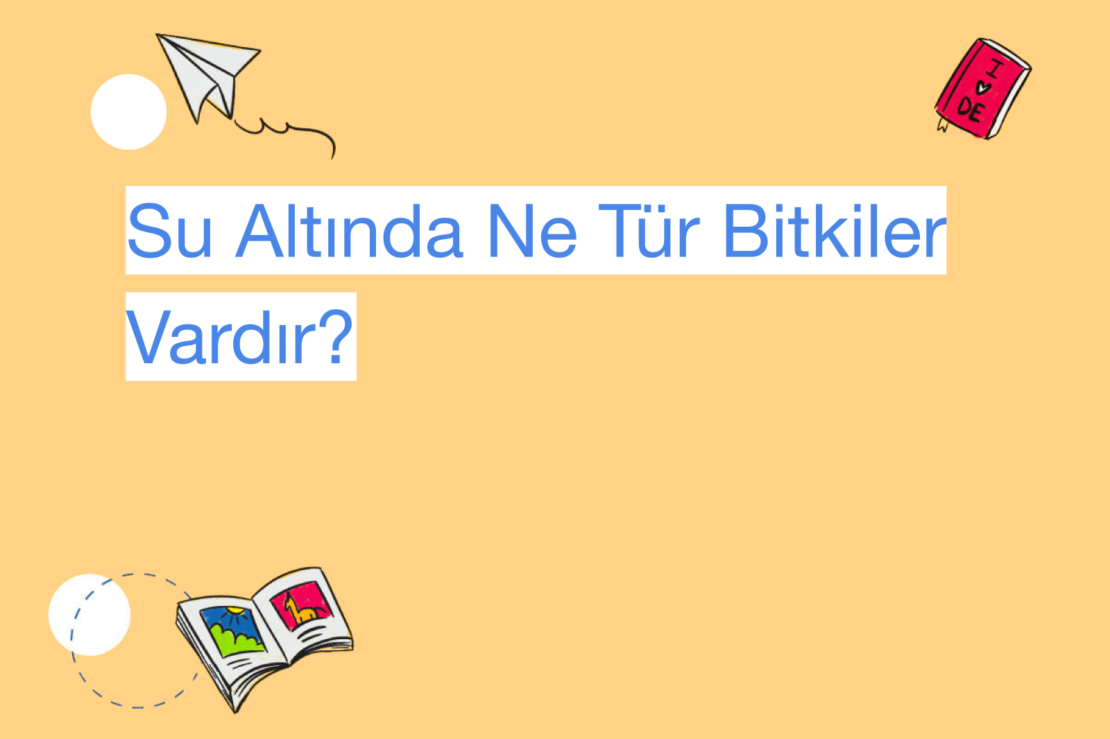 Su Altında Ne Tür Bitkiler Vardır?