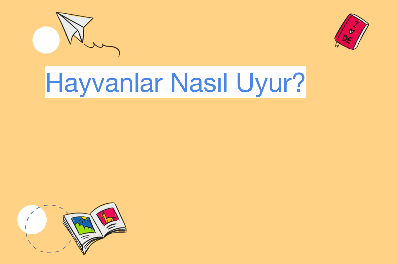 Hayvanlar Nasıl Uyur?