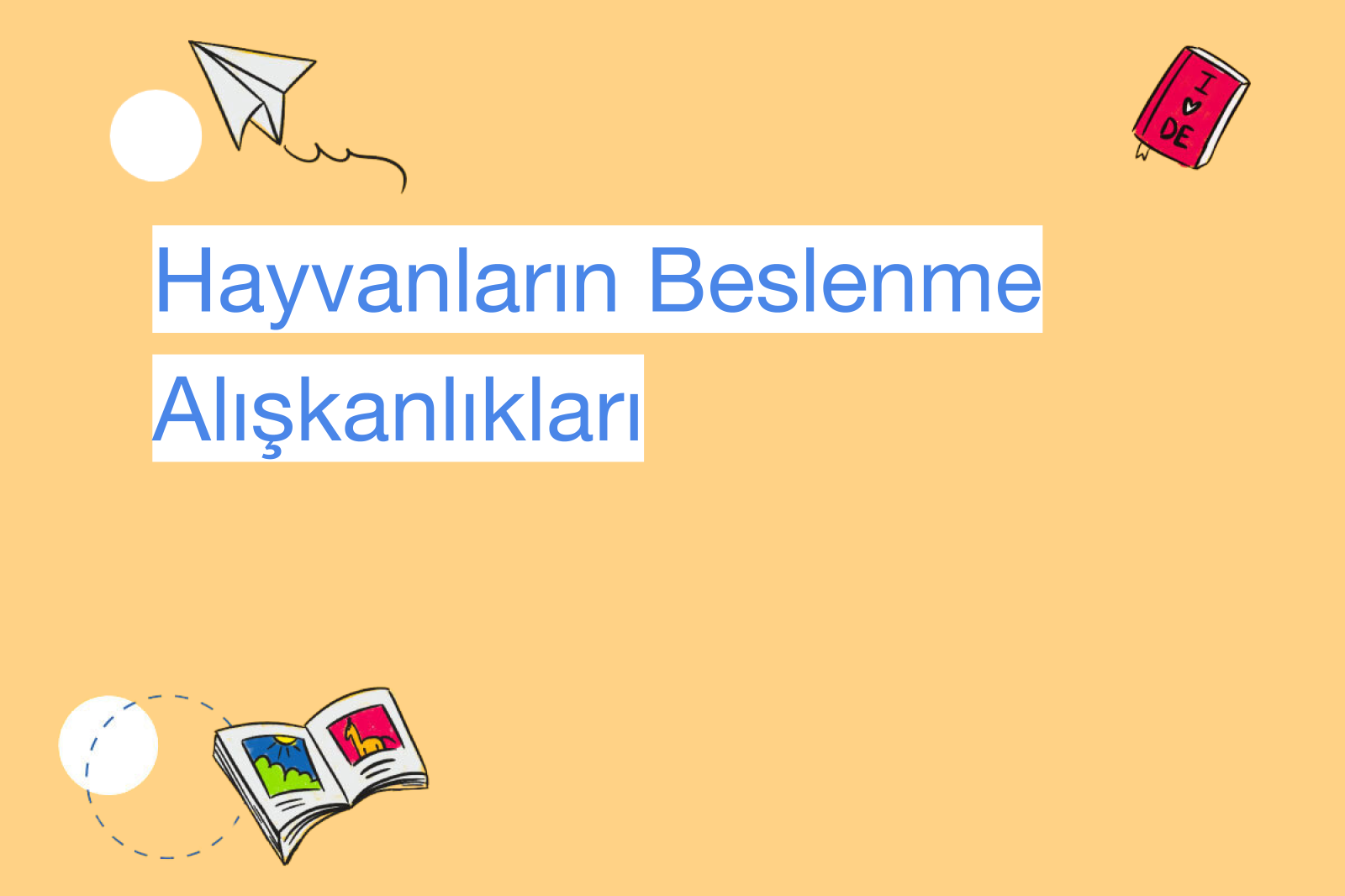 Hayvanların Beslenme Alışkanlıkları