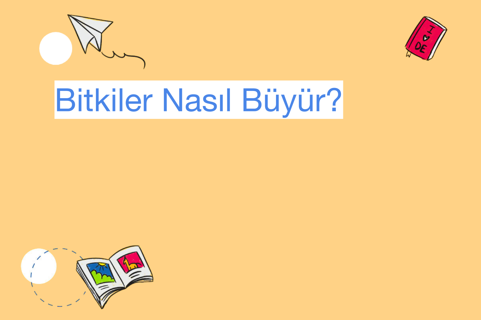 Bitkiler Nasıl Büyür?