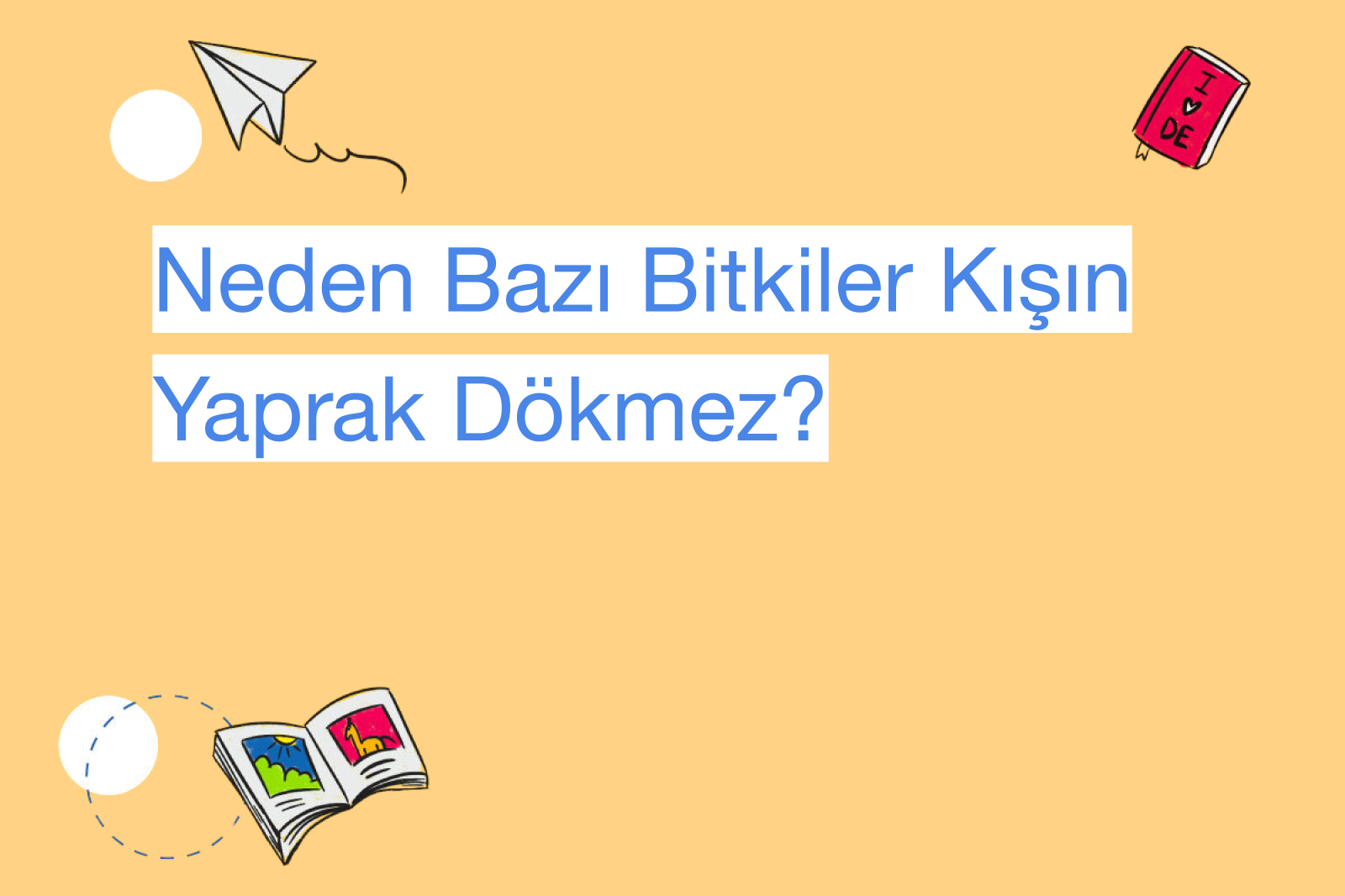 Neden Bazı Bitkiler Kışın Yaprak Dökmez?