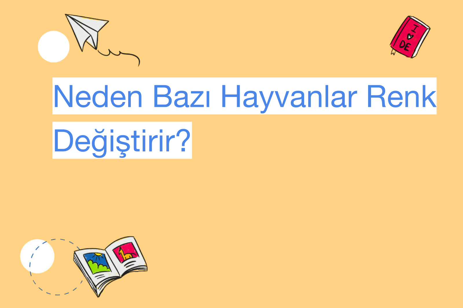 Neden Bazı Hayvanlar Renk Değiştirir?