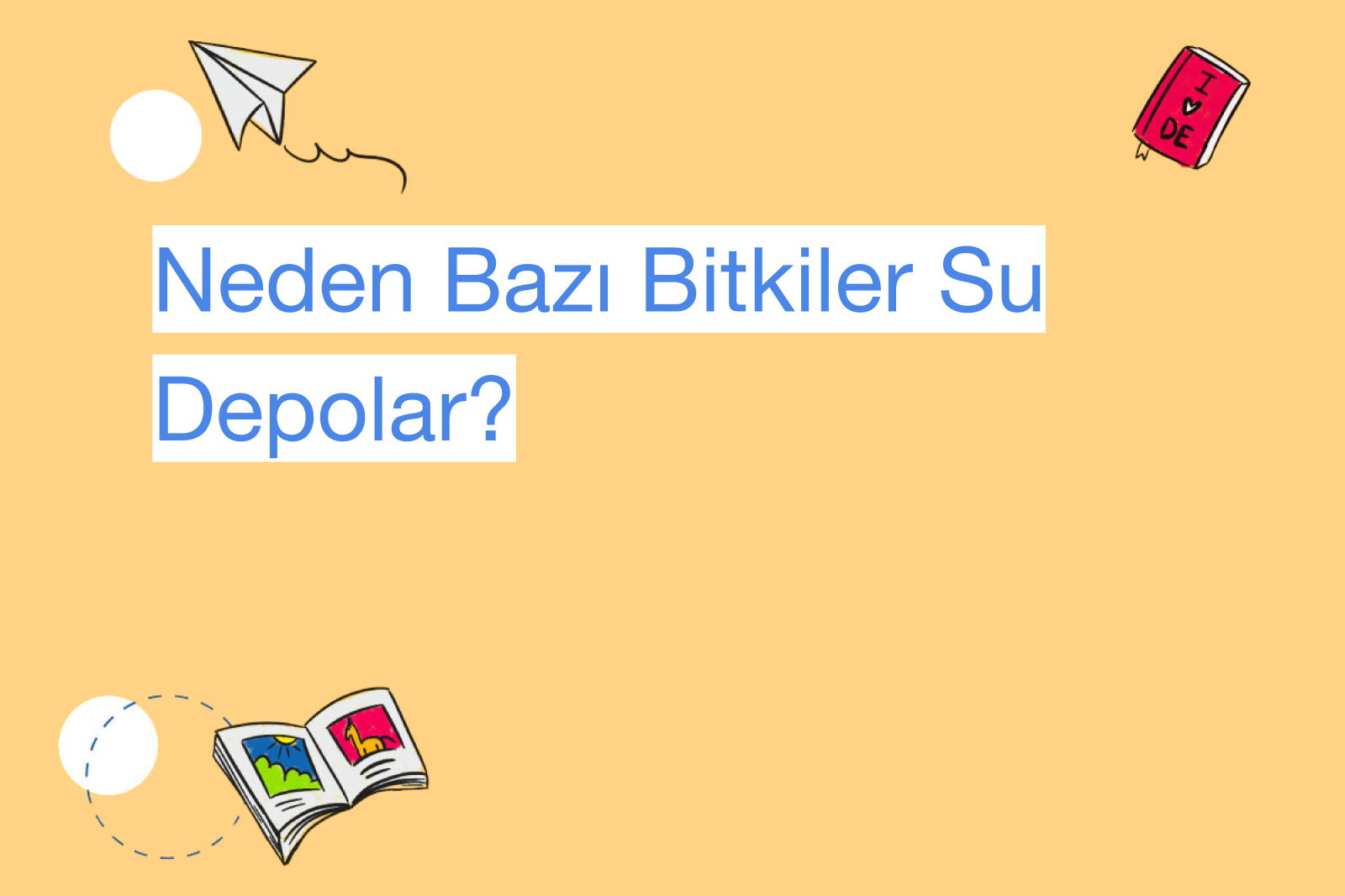 Neden Bazı Bitkiler Su Depolar?